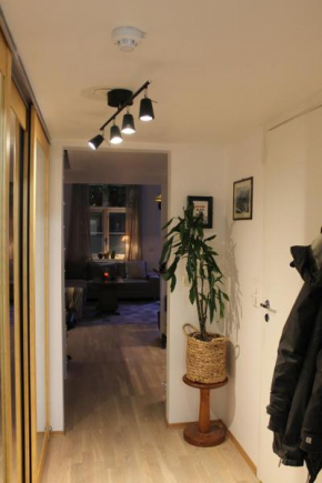 Spacious and unique apartment